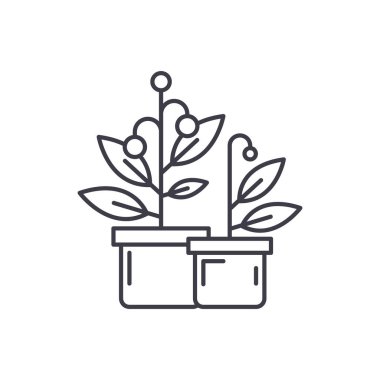 Cruise Gemi satırı simgesi kavramı. Cruise gemi vektör lineer illüstrasyon, sembol, işareti