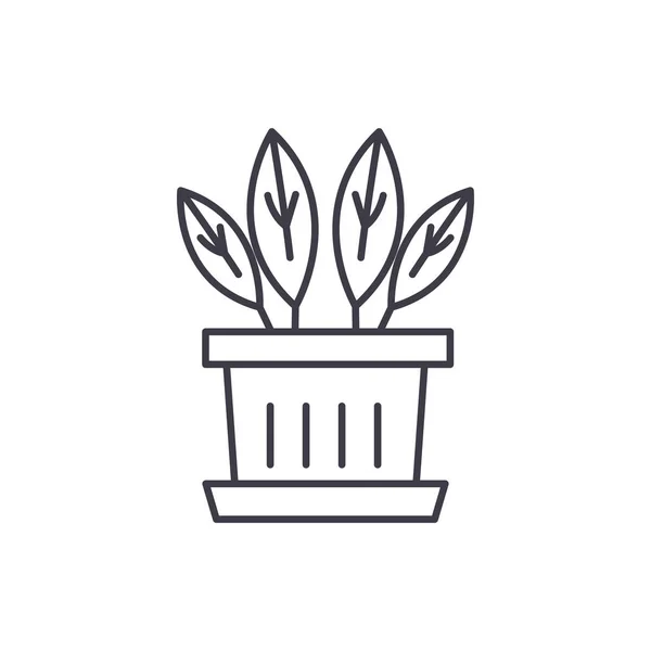 Concept d'icône de ligne de plante d'intérieur. Vecteur de plantes d'intérieur illustration linéaire, symbole, signe — Image vectorielle
