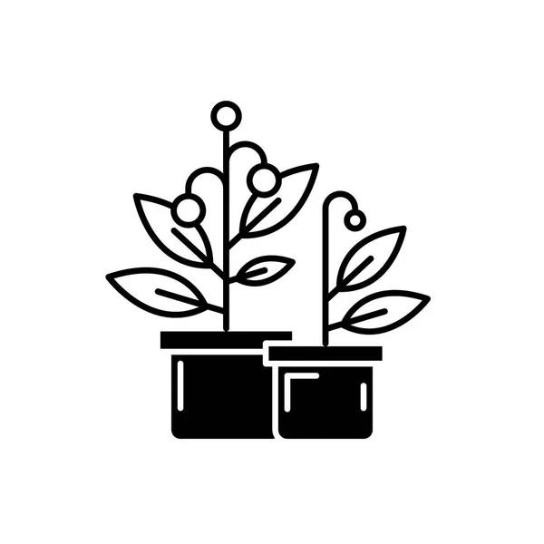 Γλάστρες σπίτι φυτά μαύρο εικονίδιο, διάνυσμα εισόδου σε απομονωμένες φόντο. Σύμβολο έννοια φυτά σε γλάστρες σπίτι, εικονογράφηση — Διανυσματικό Αρχείο