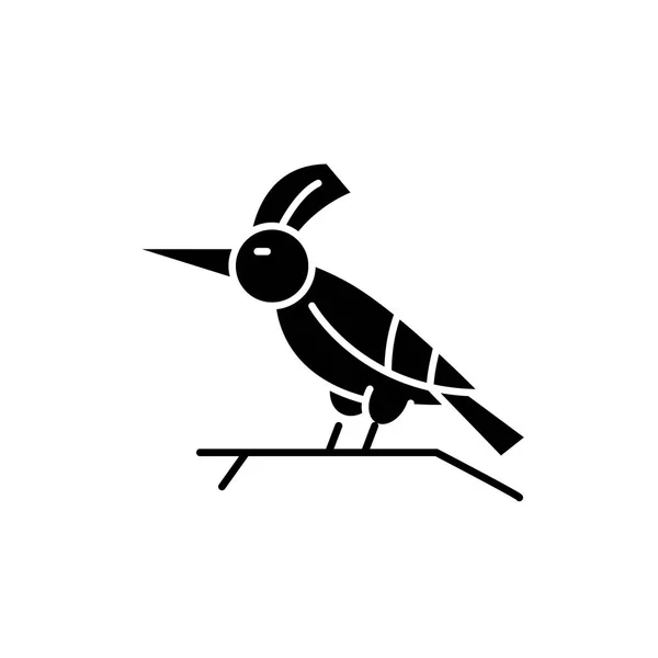 Pájaro carpintero icono negro, signo vectorial sobre fondo aislado. Concepto de pájaro carpintero símbolo, ilustración — Archivo Imágenes Vectoriales