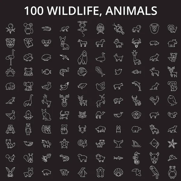 Przyrody, zwierząt można edytować linię ikony wektor zestaw na czarnym tle. Dzikich zwierząt, zwierzęta biały kontur, ilustracje, znaków i symboli — Wektor stockowy