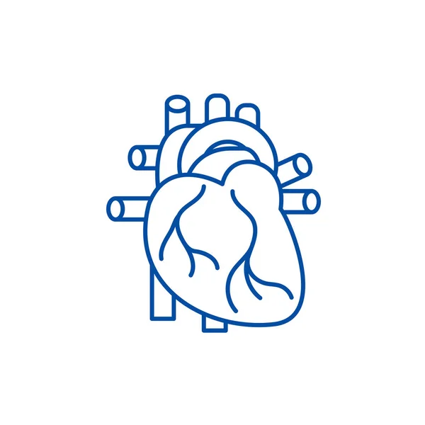 Conceito de ícone de linha de coração humano. Coração humano símbolo vetorial plana, sinal, ilustração esboço . —  Vetores de Stock