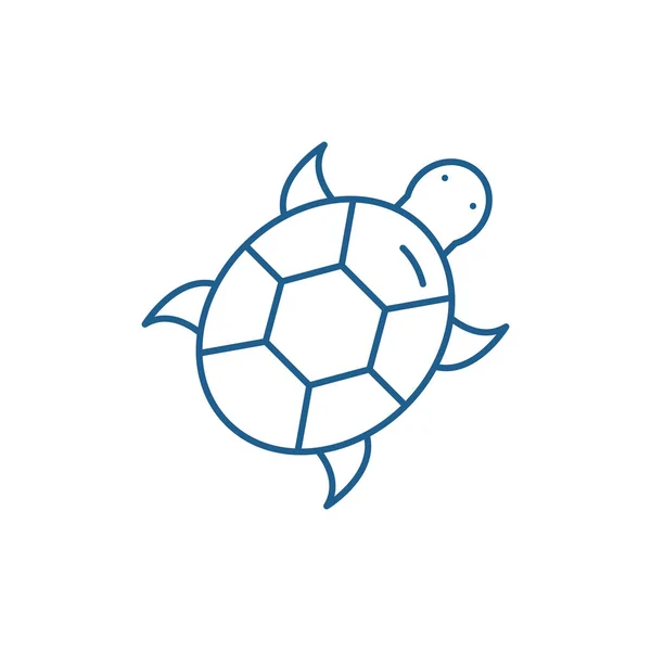 Bir kaplumbağa kibirli bir ifade ile basit çizim — Stok Vektör © forden