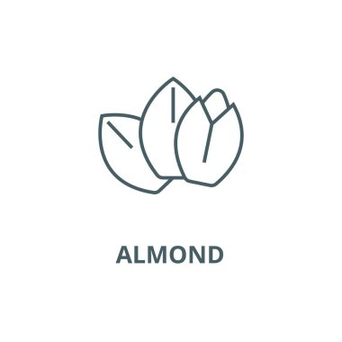 Badem çizgisi simgesi, vektör. Badem anahat işareti, konsept sembolü, düz illüstrasyon