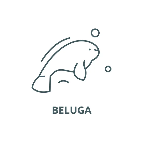 Icono de línea Beluga, vector. Beluga signo de contorno, símbolo de concepto, ilustración plana — Vector de stock