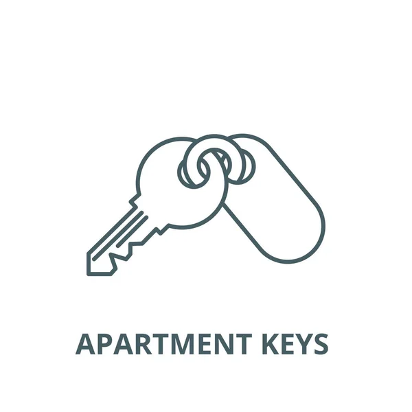 Ikona řádku klíče bytu, vektor. Klíč k vytvoření obrysu, symbol konceptu, plochý obrázek — Stockový vektor