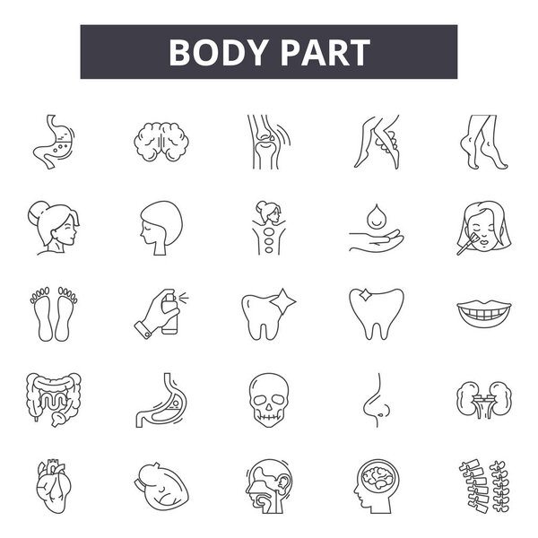Body part line icons, signs set, vector. Body part outline concept, illustration: human,body,anatomy,nose,eye,health,hand,care