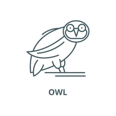 Baykuş vektör çizgi simgesi, doğrusal kavram, anahat işareti, sembol