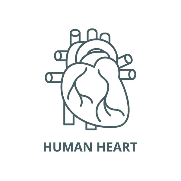 Ícone de linha de vetor de coração humano, conceito linear, sinal de contorno, símbolo —  Vetores de Stock