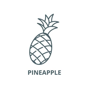 Ananas vektör çizgi simgesi, doğrusal kavram, anahat işareti, sembol