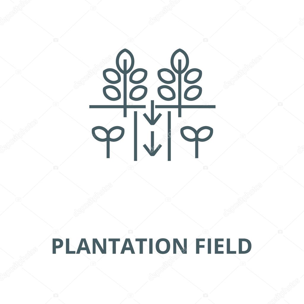 Plantation field vector line icon, linear concept, outline sign, symbol