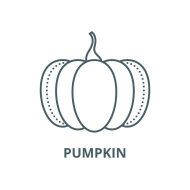 Kabak vektör çizgi simgesi, doğrusal kavram, anahat işareti, sembol