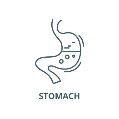 Mide vektör çizgi simgesi, doğrusal kavram, anahat işareti, sembol
