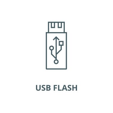 Usb flaş. bellek kartı vektör çizgisi simgesi, doğrusal kavram, anahat işareti, sembol