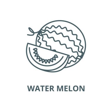 Karpuz vektör çizgi simgesi, doğrusal kavram, anahat işareti, sembol