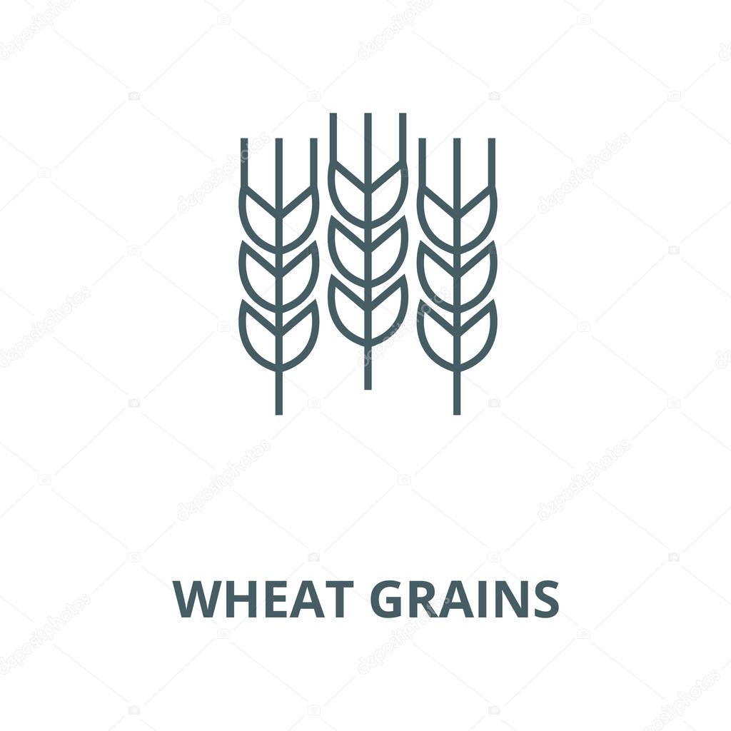 Wheat grains vector line icon, outline concept, linear sign