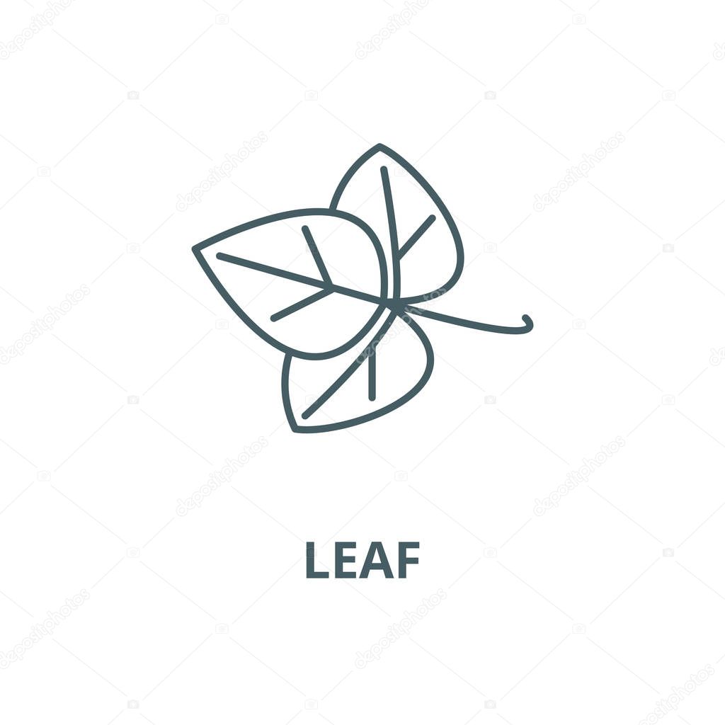 Leaf, spice vector line icon, linear concept, outline sign, symbol