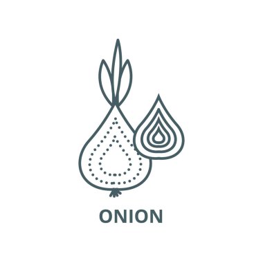 Soğan vektör çizgi simgesi, doğrusal kavram, anahat işareti, sembol