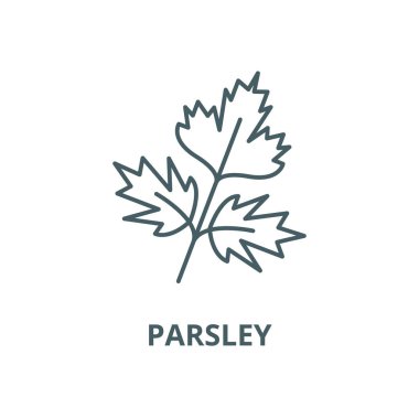 Maydanoz vektör çizgi simgesi, doğrusal kavram, anahat işareti, sembol