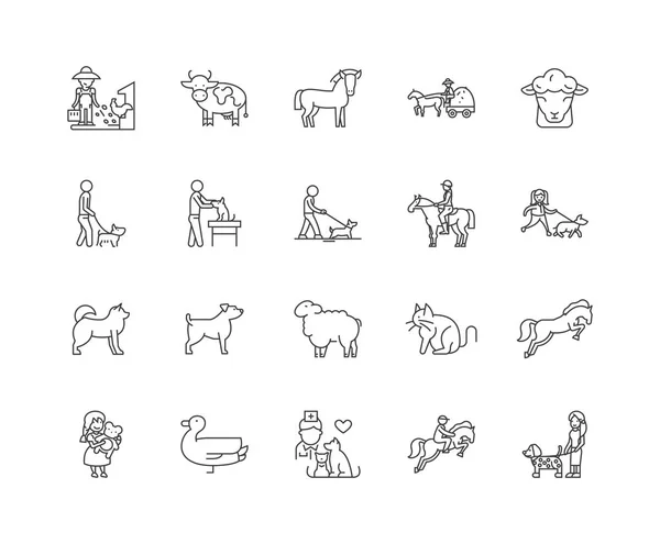Iconos de línea de cuidado animal, signos, conjunto de vectores, esquema concepto de ilustración — Vector de stock