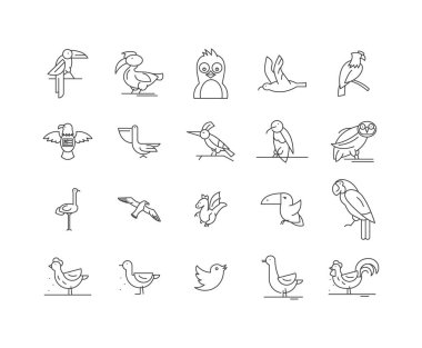 Kuşlar çizgi simgeleri, işaretler, vektör seti, anahat illüstrasyon kavramı 
