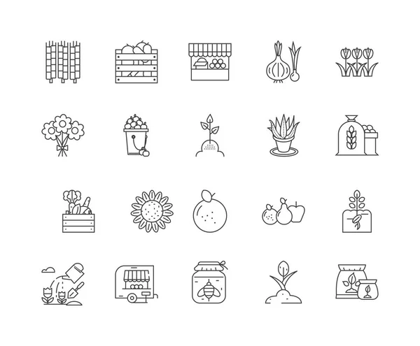 Ботанические продукты линии иконки, знаки, векторный набор, концепция наброска иллюстраций — стоковый вектор