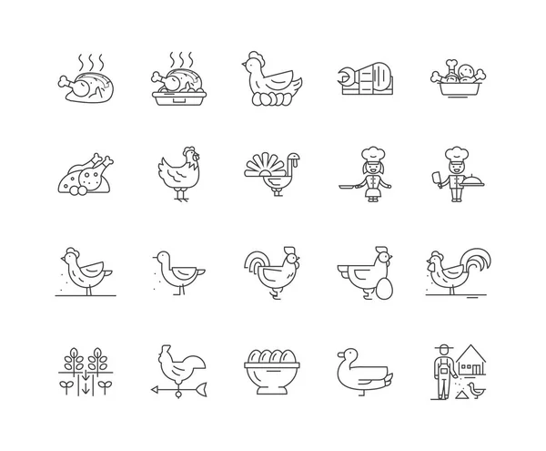 Iconos de línea de pollo, signos, conjunto de vectores, esquema concepto de ilustración — Vector de stock