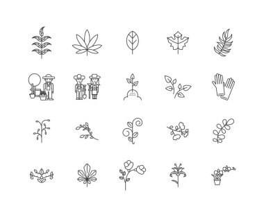Herbalist çizgi simgeleri, işaretler, vektör seti, anahat illüstrasyon kavramı 