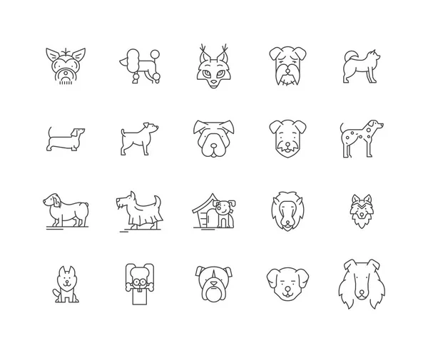 Dogs line icons, signs, vector set, outline illustration concept — Stock Vector