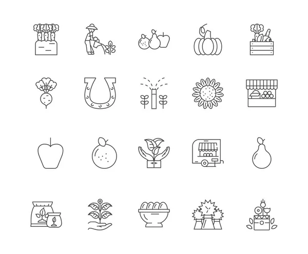 Granja vacaciones línea iconos, signos, conjunto de vectores, esquema concepto de ilustración — Vector de stock
