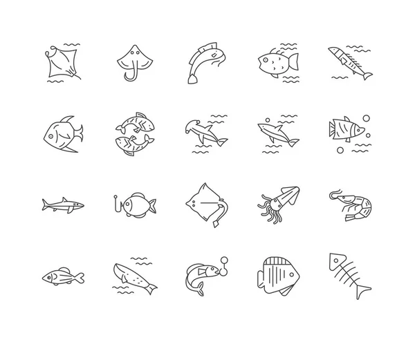 Icônes de ligne de poisson, signes, ensemble vectoriel, schéma illustration concept — Image vectorielle