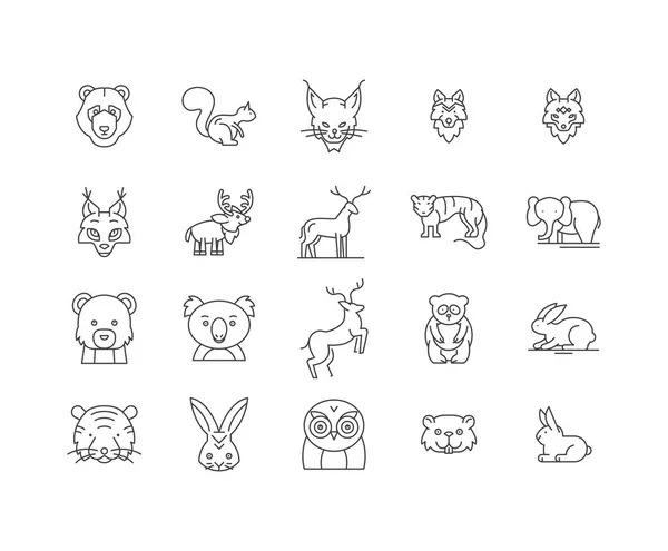 Forest animals line icons, signs, vector set, outline illustration concept — Stock Vector