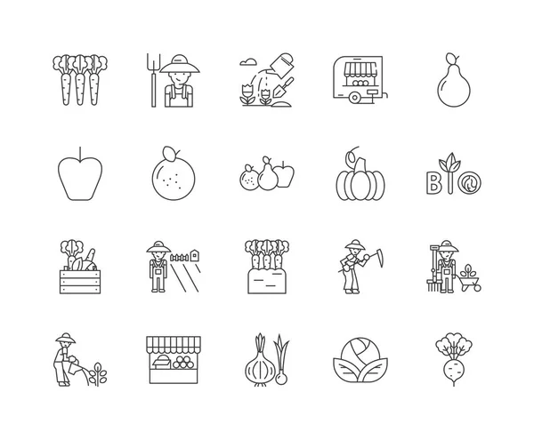 Виробники фруктів і овочів лінії іконки, знаки, векторний набір, контур концепції ілюстрації — стоковий вектор