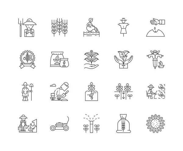Ligne de produits céréaliers icônes, signes, ensemble vectoriel, schéma illustration concept — Image vectorielle