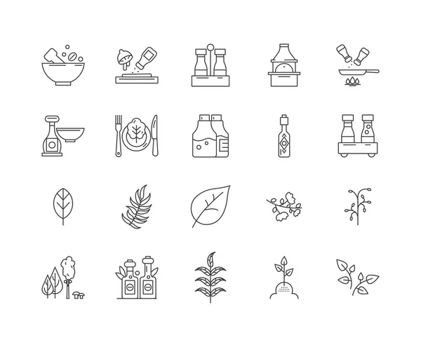 Иконки трав и специй, знаки, векторный набор, концепция набросков — стоковый вектор
