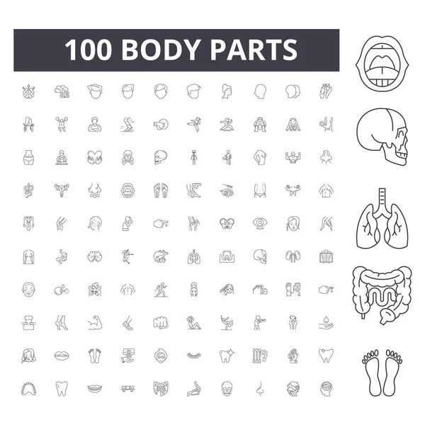 Partes do corpo anatomia linha ícones, sinais, conjunto vetorial, esboço ilustração conceito —  Vetores de Stock