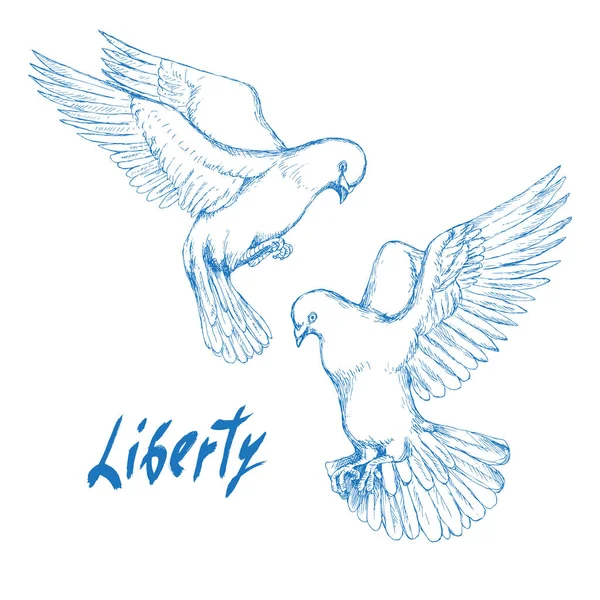 Свобода ручной надписи. Два белых голубя летят навстречу. День свободы и освобождения. Ручной рисунок силуэта в стиле эскиза . — стоковый вектор