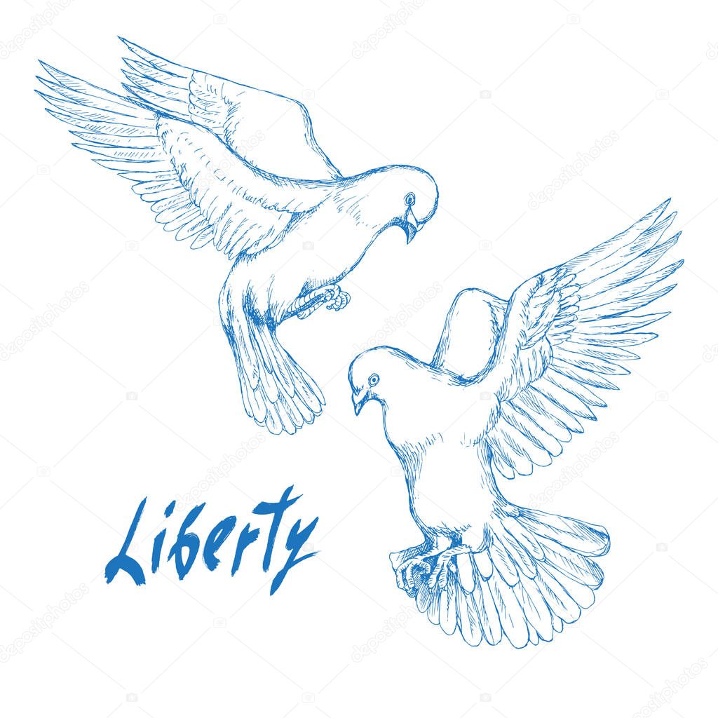 The freedom of hand lettering. Two white dove flying towards.  Freedom and liberation day. Hand-drawn silhouette drawing in sketch style.