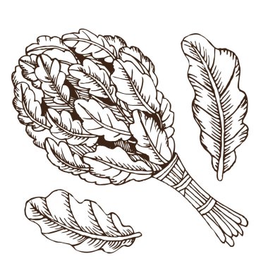 İki tuvalet bezi vücut hijyeni için Rus banyosu için. Dizi aksesuarlar için banyo, sauna. El çizimi kroki tarzı. Beyaz arka plan üzerinde izole nesne.