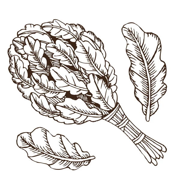 İki tuvalet bezi vücut hijyeni için Rus banyosu için. Dizi aksesuarlar için banyo, sauna. El çizimi kroki tarzı. Beyaz arka plan üzerinde izole nesne.