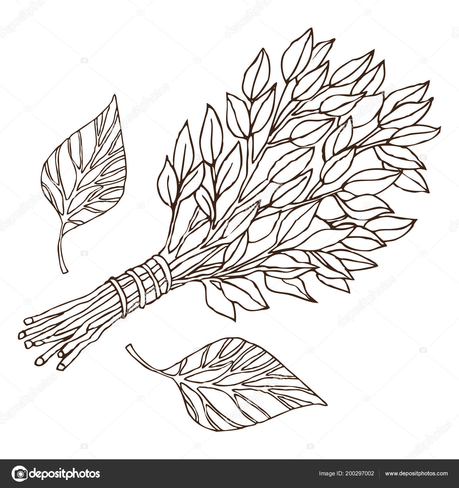 Birch whisks for the sauna, for Russian bath for body hygiene. Set of  accessories for bath, sauna. Hand drawing in sketch style. Isolated object  on white background. Stock Vector by ©DVostok 200297002