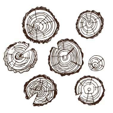 Odun kesmek, ahşap tasarım desenleri, çerçeveler, vücut hijyeni için Rus banyosu için arka plan için. Dizi aksesuarlar için banyo, sauna. El çizimi kroki tarzı. Beyaz arka plan üzerinde izole nesne.