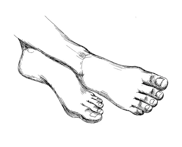 Womens fötter utan skor. En uppsättning av isolerade element för utformningen av spabehandlingar, foten hälsa, skönhet. Hand ritning skiss stil. Vektorillustration. — Stock vektor