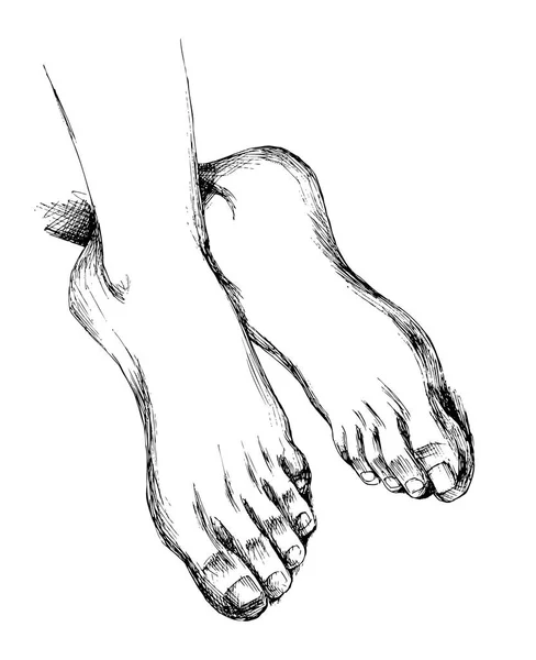 Femmes pieds sans chaussures. Un ensemble d'éléments isolés pour la conception de soins Spa, la santé des pieds, la beauté. Dessin à la main dans le style croquis. Illustration vectorielle . — Image vectorielle