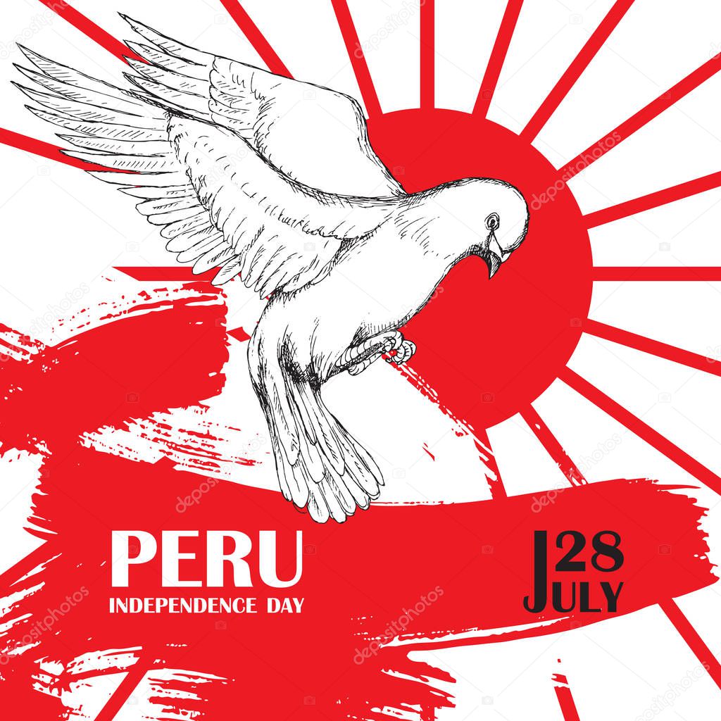 Perus independence day. July 28rd.National Patriotic holiday of liberation in Latin America. White dove in flight, the color of the Peruvian flag. Vector image.