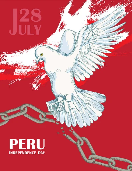 Perus independence day. July 28rd.National Patriotic holiday of liberation in Latin America. White dove in flight, the color of the Peruvian flag. Vector image. — Stock Vector