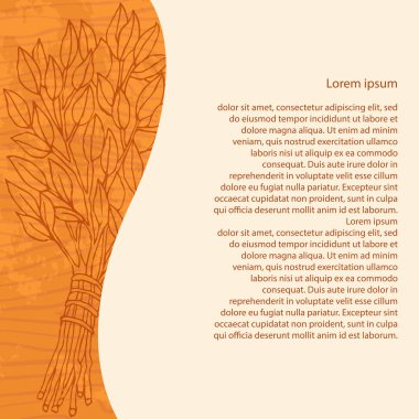 Ahşap arka plan üzerinde banyo için süpürge huş ağacı. Tasarım şablonu afiş, kartlar, kartlar için sauna, banyo. Metin için yer. El çizimi kroki tarzı. Vektör çizim. EPS 10.