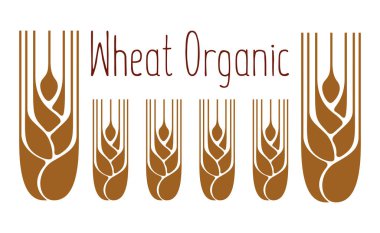 Tahıl kulaklar için gıda, tahıl şirket logolu. Kayıt bir fuar, hamur işleri, pastaneler, malların etiketi. Buğday, çavdar, yulaf stilize kulakları bira için. Vektör çizim.