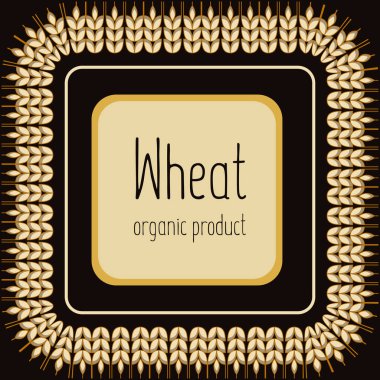 Tahıl kulaklar için gıda, tahıl şirket logolu. Kayıt bir fuar, hamur işleri, pastaneler, malların etiketi. Organik, doğal ürün. Buğday, çavdar, yulaf stilize kulakları bira için. Vektör