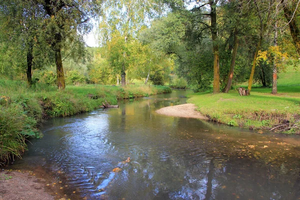 Altai bölgesi. - Rusya. Belokurikha Nehri. Eylül. Sonbahar motivasyonu.